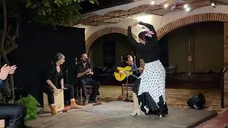 Flamenco in Ajijic at La Cochera Cultural night of Tablao Flamenco. 9.17.23