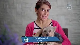 COMERCIAL YOUTUBE 2018