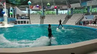 Евпаторийский дельфинарий