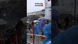 Kedarnath Snowfall 2 Mya 2023 #kedarnath #kedarnathtemple #snowfall