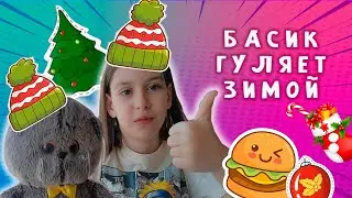 БАСИК С ПОЛИНОЙ ГУЛЯЮТ ЗИМОЙ / БАСИК НА КАНИКУЛАХ #басик #басики