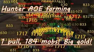 Wotlk Classic - Hunter farm Dire Maul E ~1000g/hour