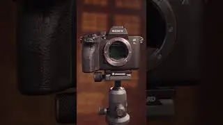 Sony A7S3 Review | Best Camera For Filmmaking