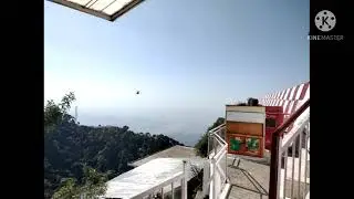 #halipad#jaimaa vaishno devi darbar🙏🏻🙏🏻