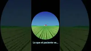 ¿Qué ves durante un examen de la vista? 👓💡