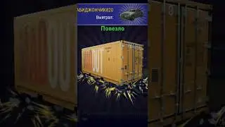 #madout2 везет