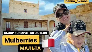 ❤️МАЛЬТА 2024! Колоритный отель на Мальте Mulberries | Украинцы на Мальте | Обзор отеля на Мальте