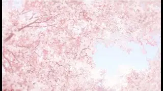 Губная гармошка С, 