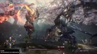 Nioh 2 - Mezuki Crusher NO DAMAGE