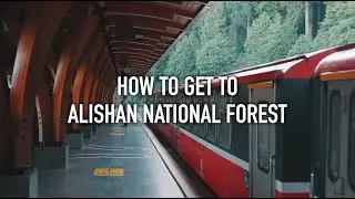 How to Get to Alishan National Forest (Taiwan Guide)