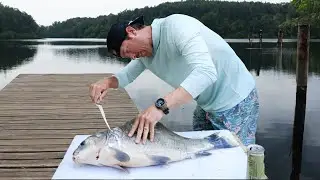 IS THIS FISH EDIBLE? Buffalo Catch Clean & Cook