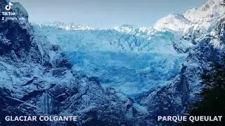 vestisquero colgante, Parque Queulat