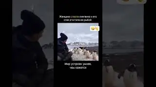 Добро возвращается🤭❤️