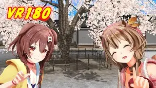 [MMD VR 180] 愛包ダンスホール [ホロライブ 戌神ころね inugami korone アユンダ・リス Ayunda Risu ヒメヒナ HIMEHINA]