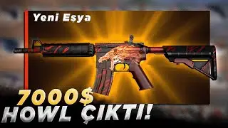5000 DOLAR M4A4 HOWL KATLADIM! - FARMSKINS