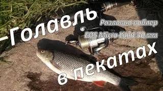 Голавль в перекатах.  Разловил воблер EOS Micro Light 30 мм