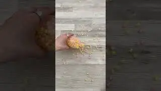 Speed Cleaning Is Really Satisfying! 😉