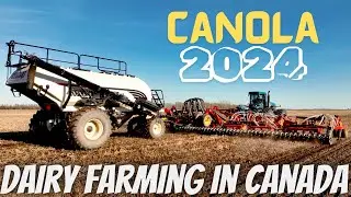 Canola Goes In The Ground!