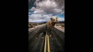 Что, думаете у меня закончились идеи для видео?!