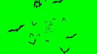 Green screen colony or camp of bat