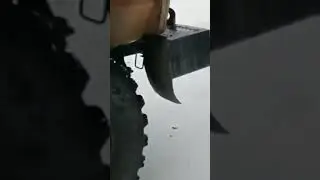 Белые медведи атакуют грузовик