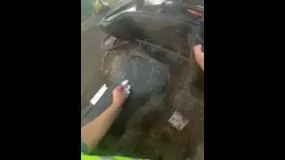 Приехали