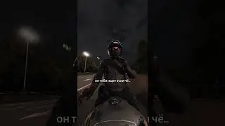 Wild police chase
