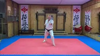 Ката "Тайкиоку Соно Ичи"