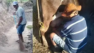 FOMOS DAR UMA MÃO À MEU SOGRO. VEJA QUE FAZENDA TOPADA! 🐄🌾🏡