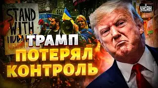 Look! The staged show backfired on Trump. The breakdown of negotiations with Zelensky. Europe wok...