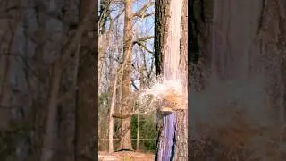 #superslowmo #shorts