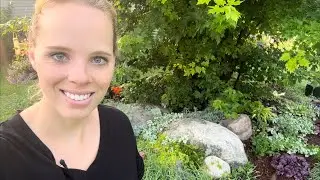 A Very Humid Garden Day! | Simply Bloom