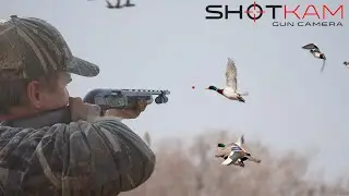 Duck Hunting Highlights - with a Shotkam