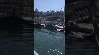 Португальские эпизоды (скоро большой выпуск)