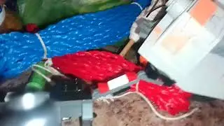 la vida de los juguete