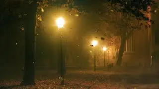 виктор салтыков ~ улетели листья 【﻿ｓｌｏｗｅｄ】