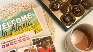 #139 Наші 4 роки в Калгарі 🇨🇦/ Результат розіграшу 🎄