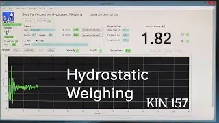 KIN157 SJSU Hydrostatic Weighing