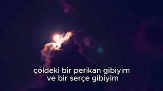 Güvercinin Ruhu | Yorumlayan: Şerafettin Dönmez