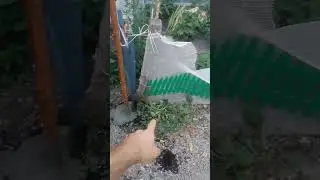 Как я строил сегодня)