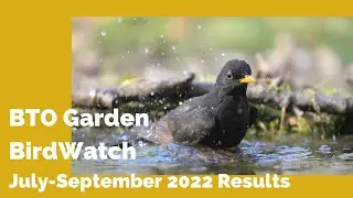 BTO Garden BirdWatch Results Quarter 3 2022
