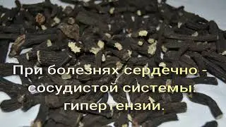 Окопник, корень окопника.