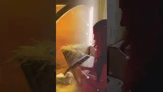 С рождеством! Радуйтесь все!