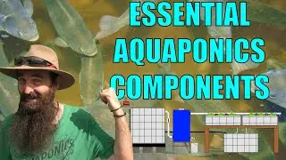 Aquaponics System Design - 9 Essential components