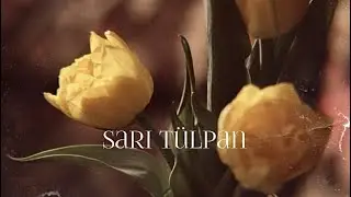Номан Челебиджихан - Жёлтый тюльпан (Sarı tül’pan) #qirim #крымскиетатары #crimeantatars