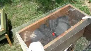 Solar Wax Melters for beekeepers
