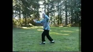 Yang Style Tai Chi Chuan - 34,54,108 Forms  - 1995
