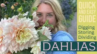 Digging and storing DAHLIAS: A quick & easy guide