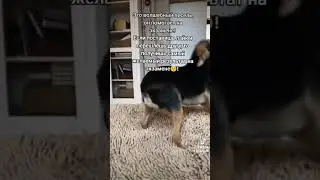 #учеба #экзамен #удача #рекомендации #рек #втоп
