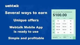 My Webtalk daily income. January 2021.